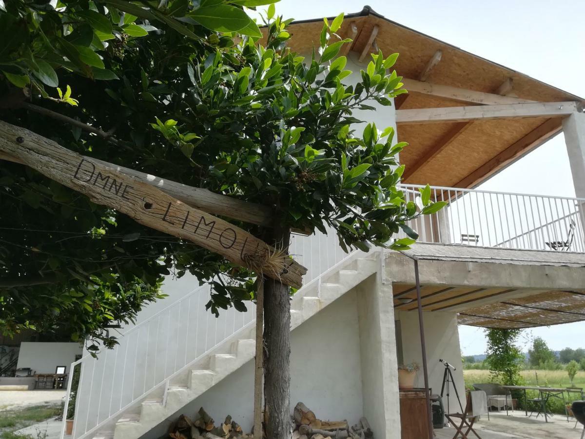 纳博讷Domaine Limouzy别墅 外观 照片