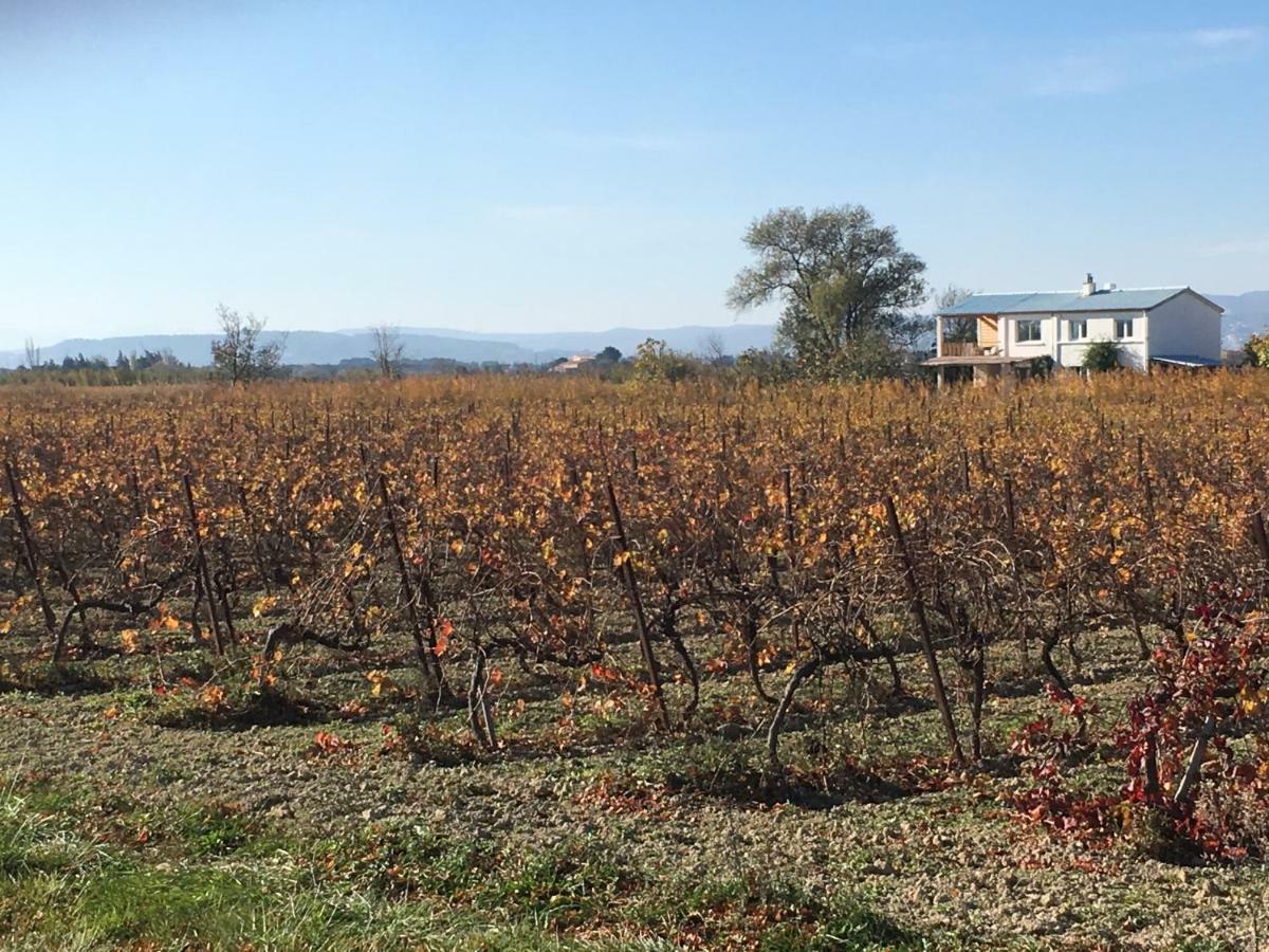 纳博讷Domaine Limouzy别墅 外观 照片