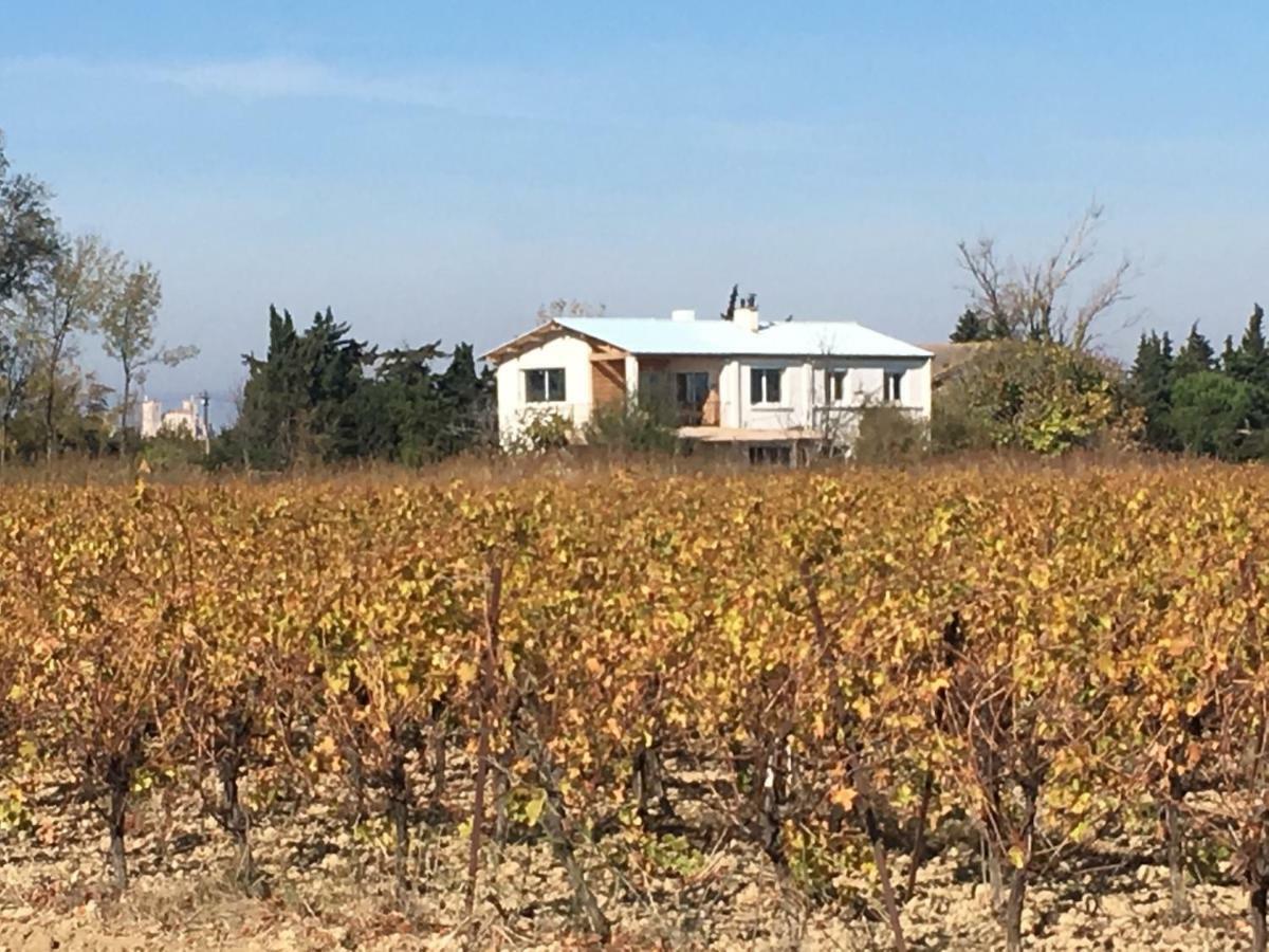 纳博讷Domaine Limouzy别墅 外观 照片